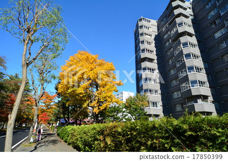 落在札幌 落在札幌 17850399
