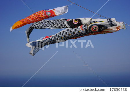 Carp streamer 17850588