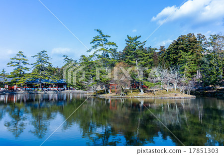 新鮮的綠色被反射的池塘 17851303