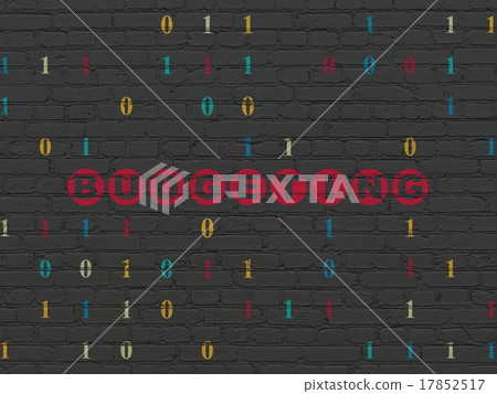 Finance concept: Budgeting on wall background Finance concept: Budgeting on wall background 17852517