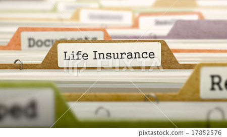 File Folder Labeled as Life Insurance File Folder Labeled as Life Insurance 17852576