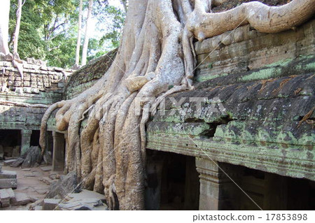 Angkor Archaeological Site Ta Prohm Casual Angkor Archaeological Site Ta Prohm Casual 17853898