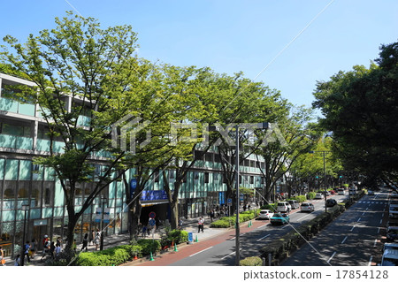 September Scenery of the city 855 Omotesando September Scenery of the city 855 Omotesando 17854128