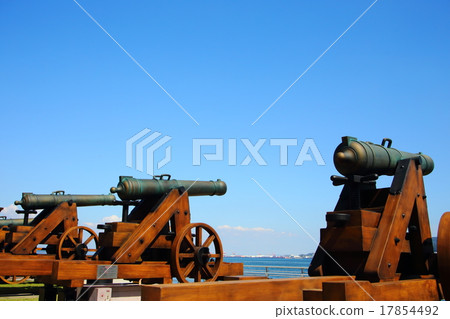 Danoura cannon 17854492