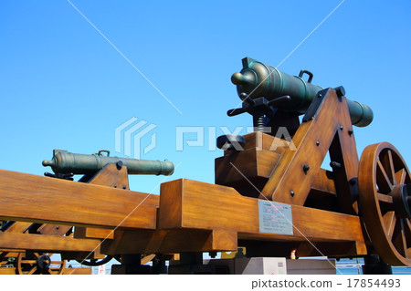 Danoura cannon 17854493