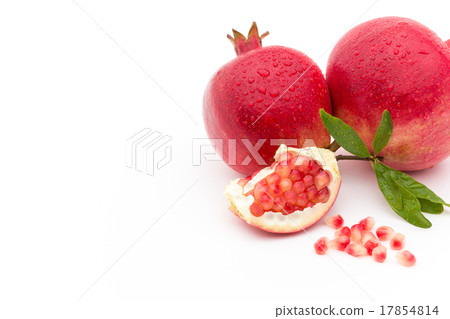 pomegranate  17854814
