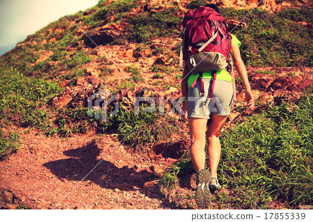 young woman backpacker climbing to mountain peak 17855339