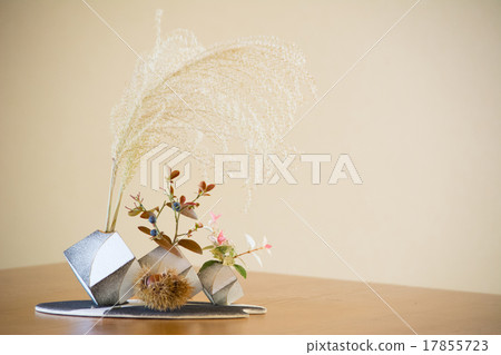 Fall autumn bud 17855723