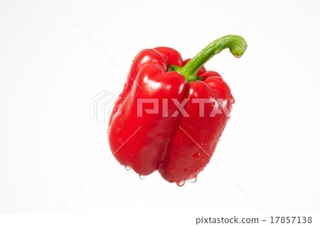 Paprika Sizzle feeling 17857138