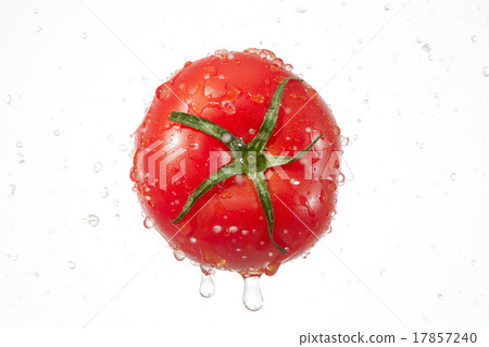 Tomato Sizzle feeling Tomato Sizzle feeling 17857240