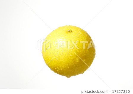 Sense of grapefruit Sizzle 17857250