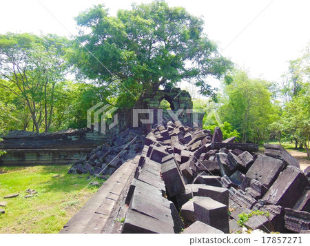 本梅利亞 本梅利亞 17857271