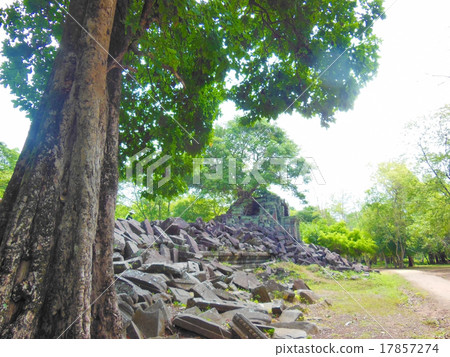 本梅利亞 本梅利亞 17857274