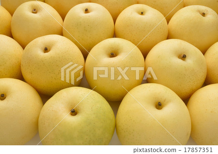 Twentieth Century Pear Twentieth Century Pear 17857351