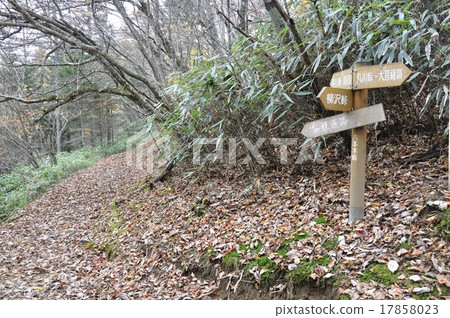 六本木山口 六本木山口 17858023