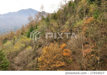 從秋天的菩薩山冠菩薩 從秋天的菩薩山冠菩薩 17858027