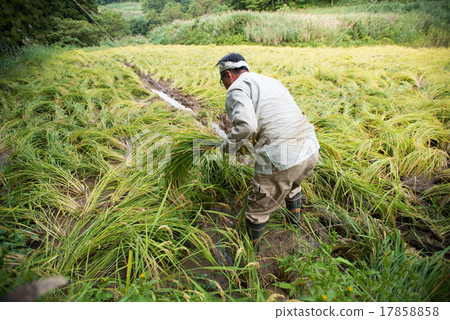 農民 17858858