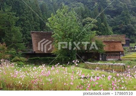 Shirakawago in autumn 17860510
