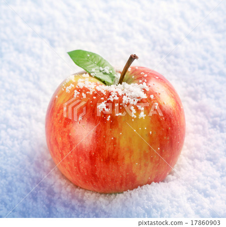 Apple in snow 17860903