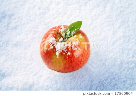 Apple in snow Apple in snow 17860904