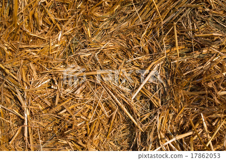 Piled hay bales on a field against blue sky Piled hay bales on a field against blue sky 17862053