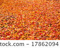 Autumn leaves carpet 17862094