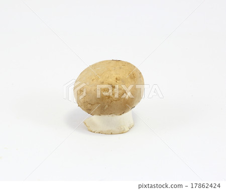 Brown mushroom  17862424