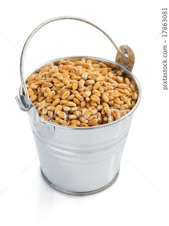 wheat grain in bucket isolated on white 17863081