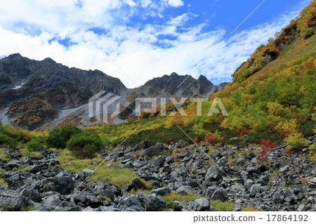 Fukuzawa curl's autumn leaves 17864192
