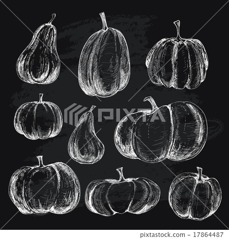 Pumkins Pumkins 17864487