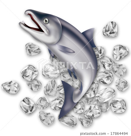 Salmon and crash Ice illustration Salmon and crash Ice illustration 17864494