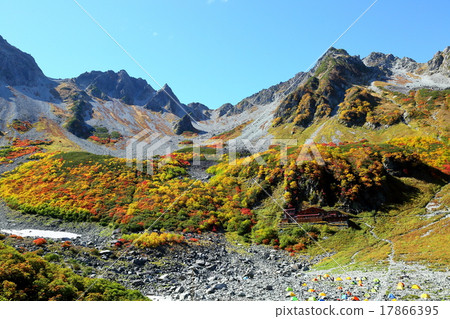 福澤捲曲的秋葉 17866395