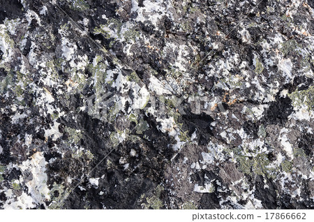 Crustose lichen background Crustose lichen background 17866662
