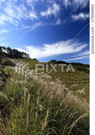 Tonomine Plateau　 17866668