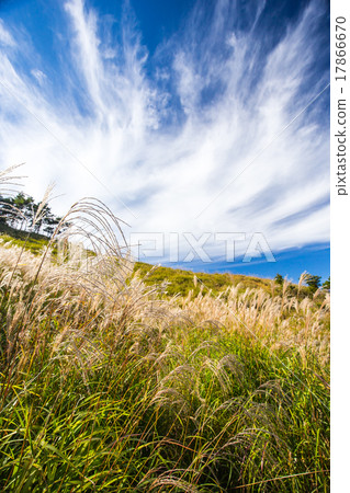 Tonomine Plateau　 17866670