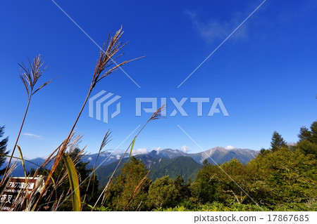 Yasha男子傳球·Phoenix Miyama爬口 17867685