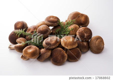 Shiitake 17868602