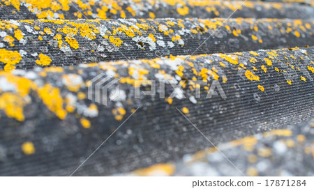 Old wavy roofing slate covered with lichen 17871284