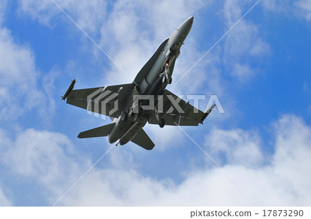 F-18 Hornet F-18 Hornet 17873290