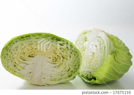 cabbage  17875150