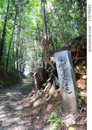 奈良山邊路 17876082