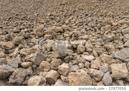 Big earthy Stones 17877058