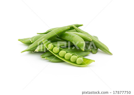 豌豆 豌豆 17877750