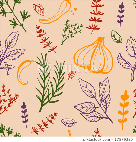 Seamless vintage pattern hand drawn herbs Seamless vintage pattern hand drawn herbs 17879380