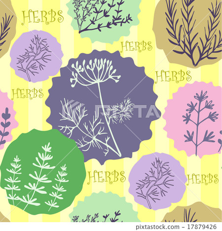 Seamless vintage pattern hand drawn herbs  17879426