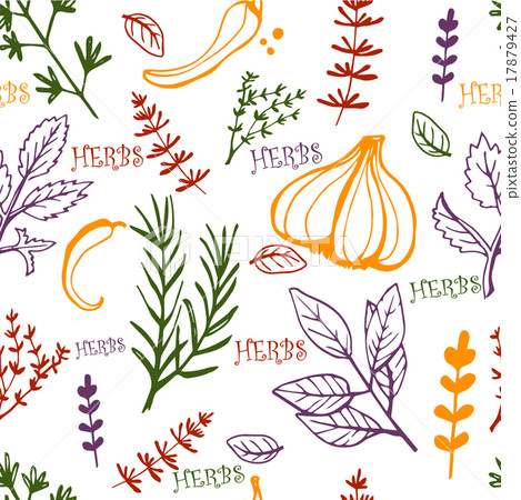 Seamless vintage pattern hand drawn herbs - Stock Illustration ...