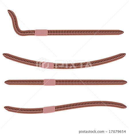 Animal Earth Red Worms for Fishing 17879654