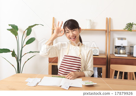 Housekeeping housewife Housekeeping housewife 17879926