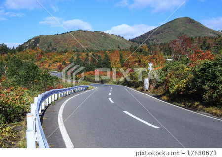 Hakkoda Gold Line 17880671