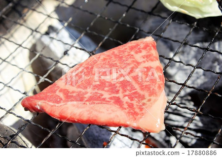  Grilled meat 17880886